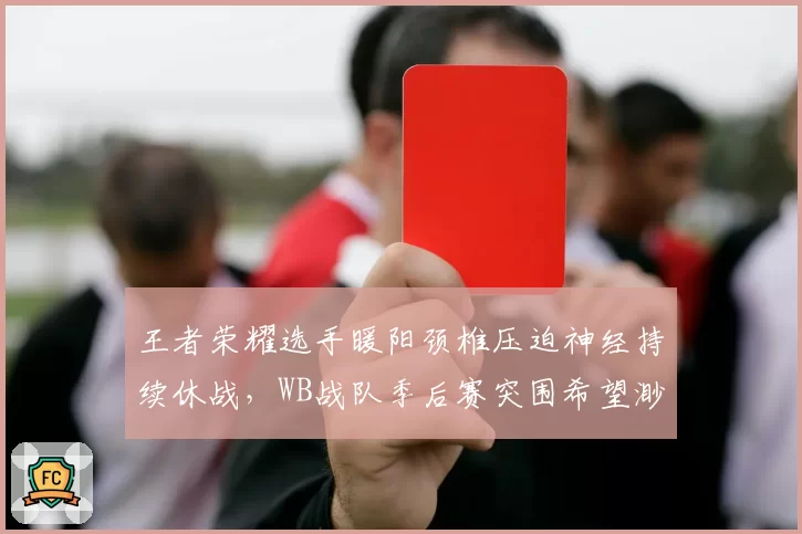 王者荣耀选手暖阳颈椎压迫神经持续休战，WB战队季后赛突围希望渺茫？