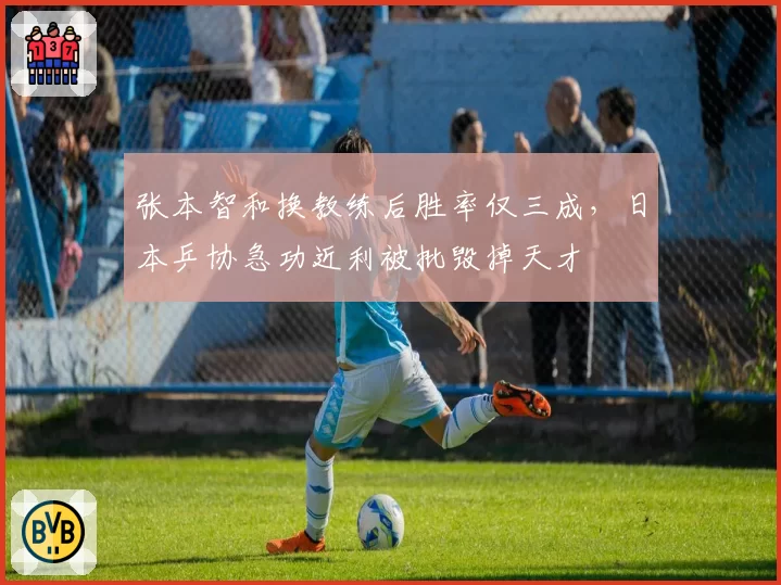 张本智和换教练后胜率仅三成，日本乒协急功近利被批毁掉天才