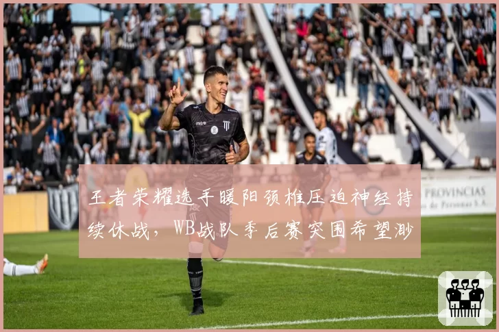 王者荣耀选手暖阳颈椎压迫神经持续休战，WB战队季后赛突围希望渺茫？
